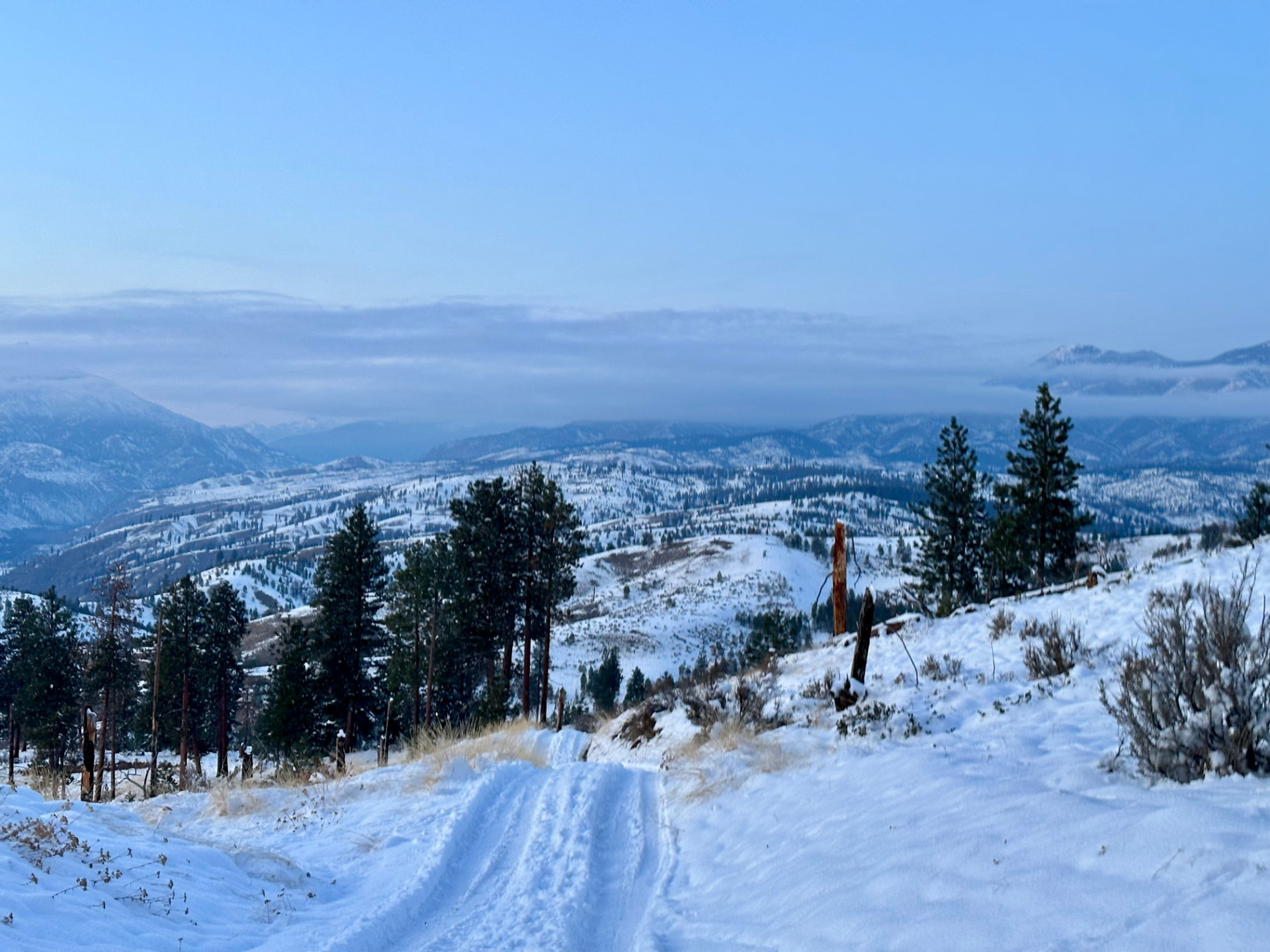 A snow-covered mountain track looking out over pine ridges and a wide valley at dawn