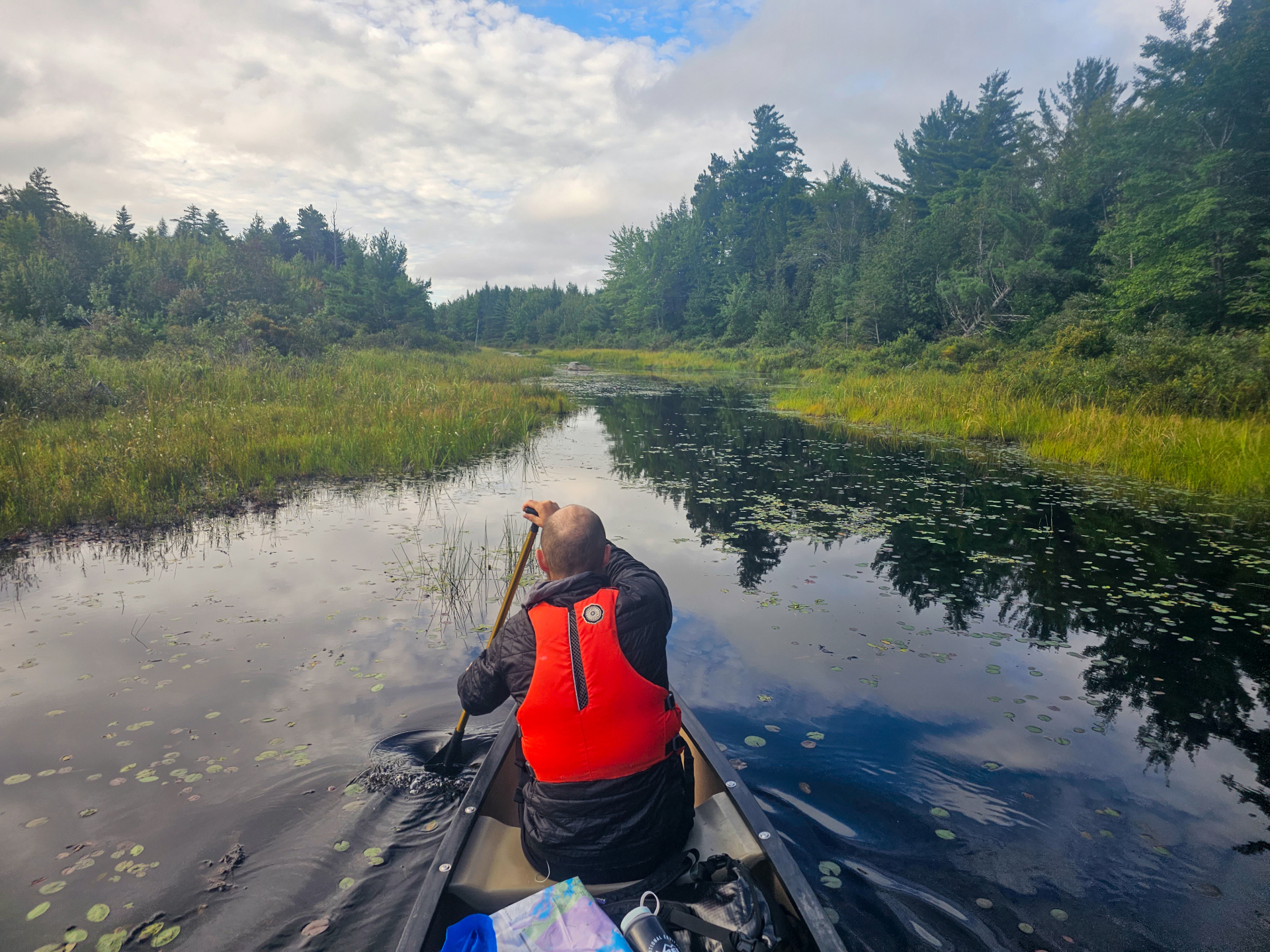 A canoeist paddles a calm lily-pad-dotted waterway through quiet northern wetlands
