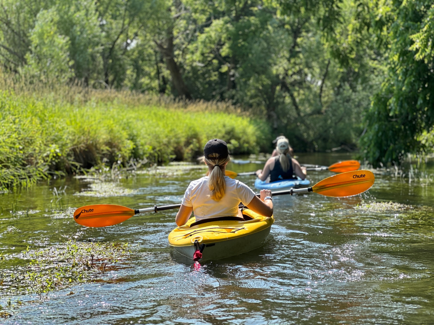 Two kayakers paddling down a calm, lush green river