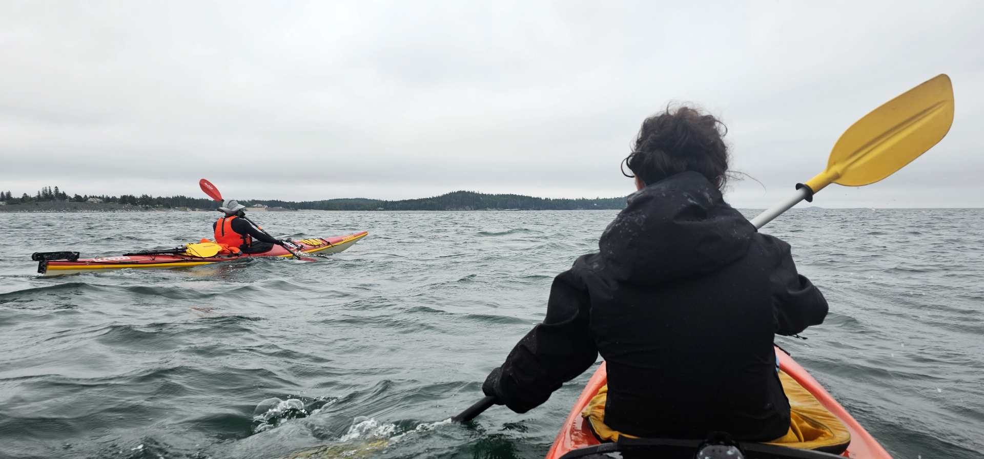 Two sea kayakers paddling on open water toward a forested coastline
